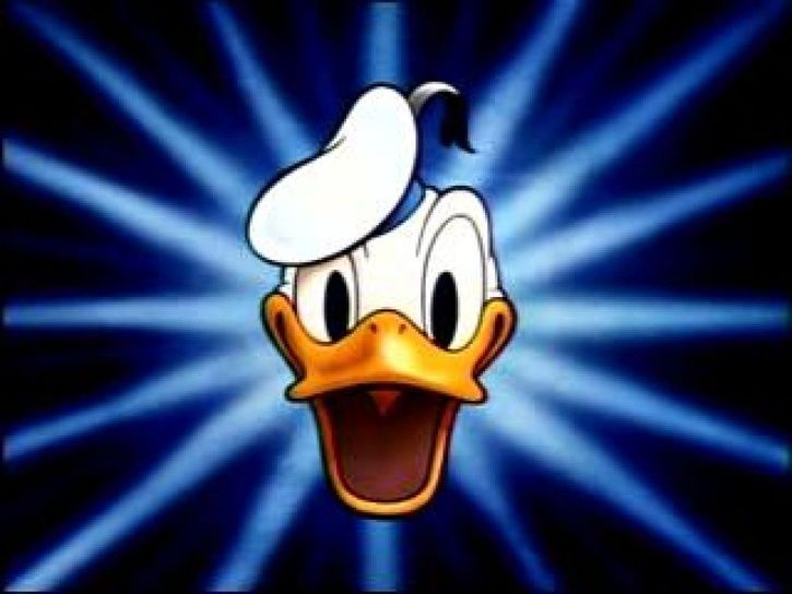 duck.jpg