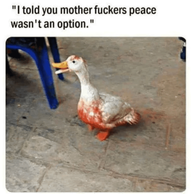 duck.PNG
