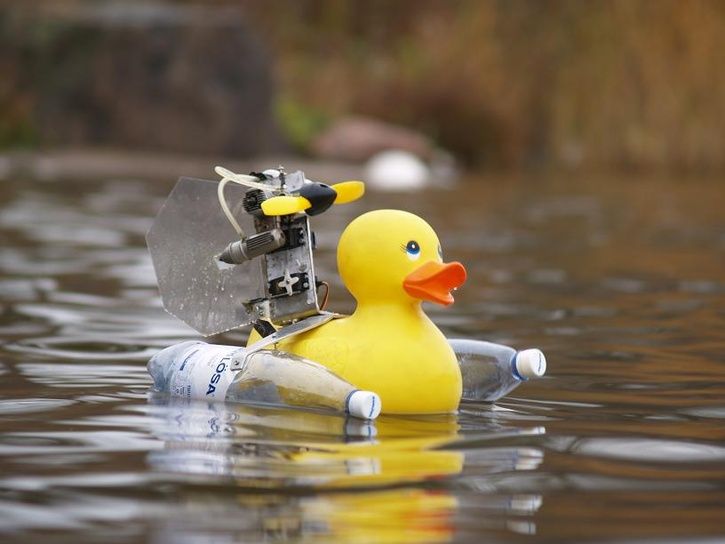 duck2.jpg ht=544