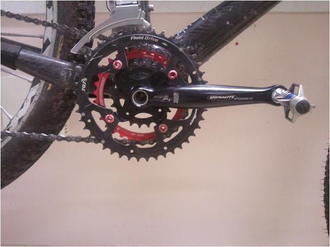 E-bonesmounted.JPG