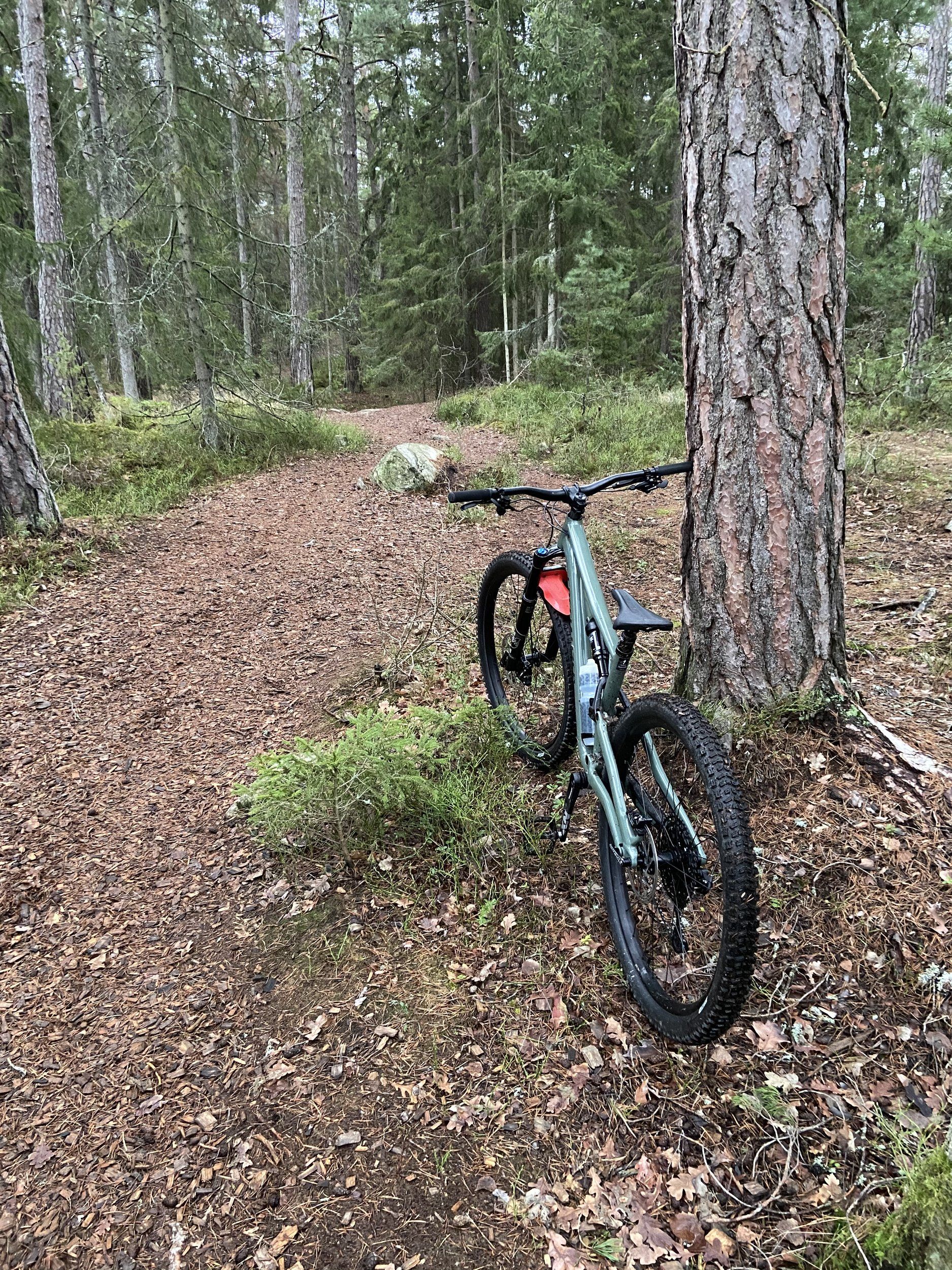 E0381391-8AB6-4CAA-B2FC-BEE2D00B9504.jpeg
