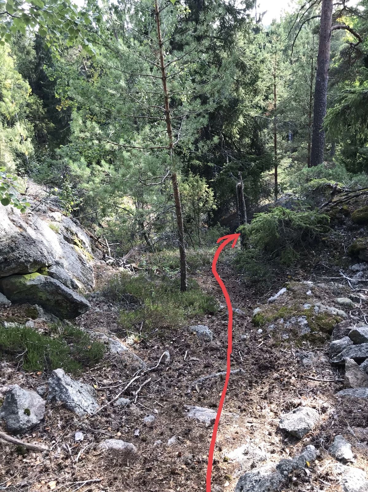 E045B556-599B-4E82-B31F-3EA0720E94E5.jpeg