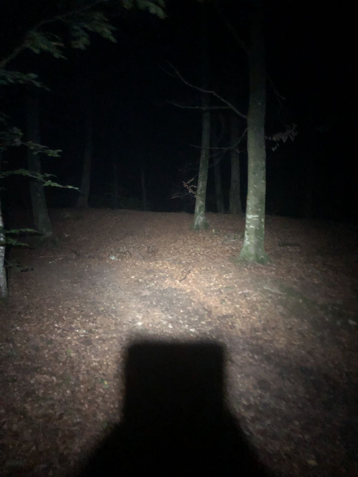 E06082FE-0270-4C8D-A52F-5C77F77A9F87.jpeg