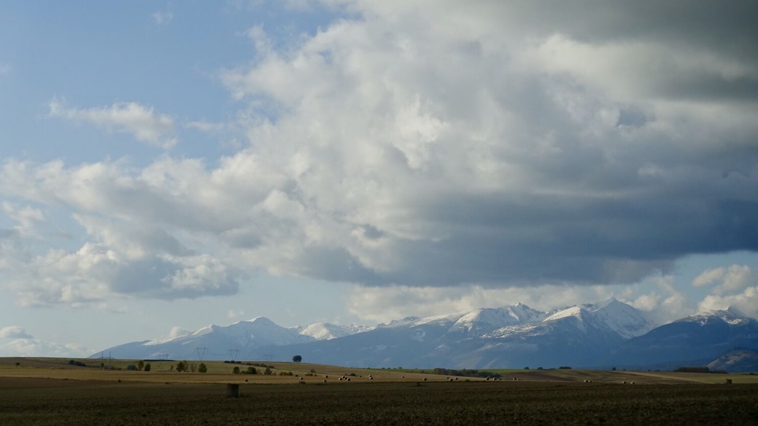 E092680B-BC30-461D-9014-DADEF89E5A22.jpeg
