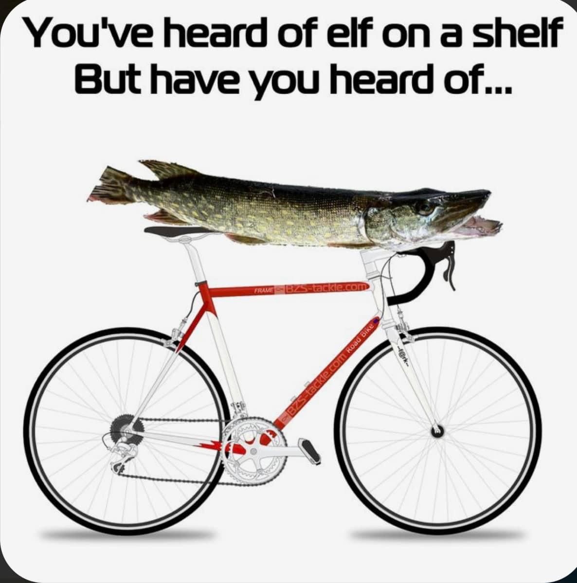 E0A3C131-5AE9-4032-A374-0EF4BE4824A1.jpeg