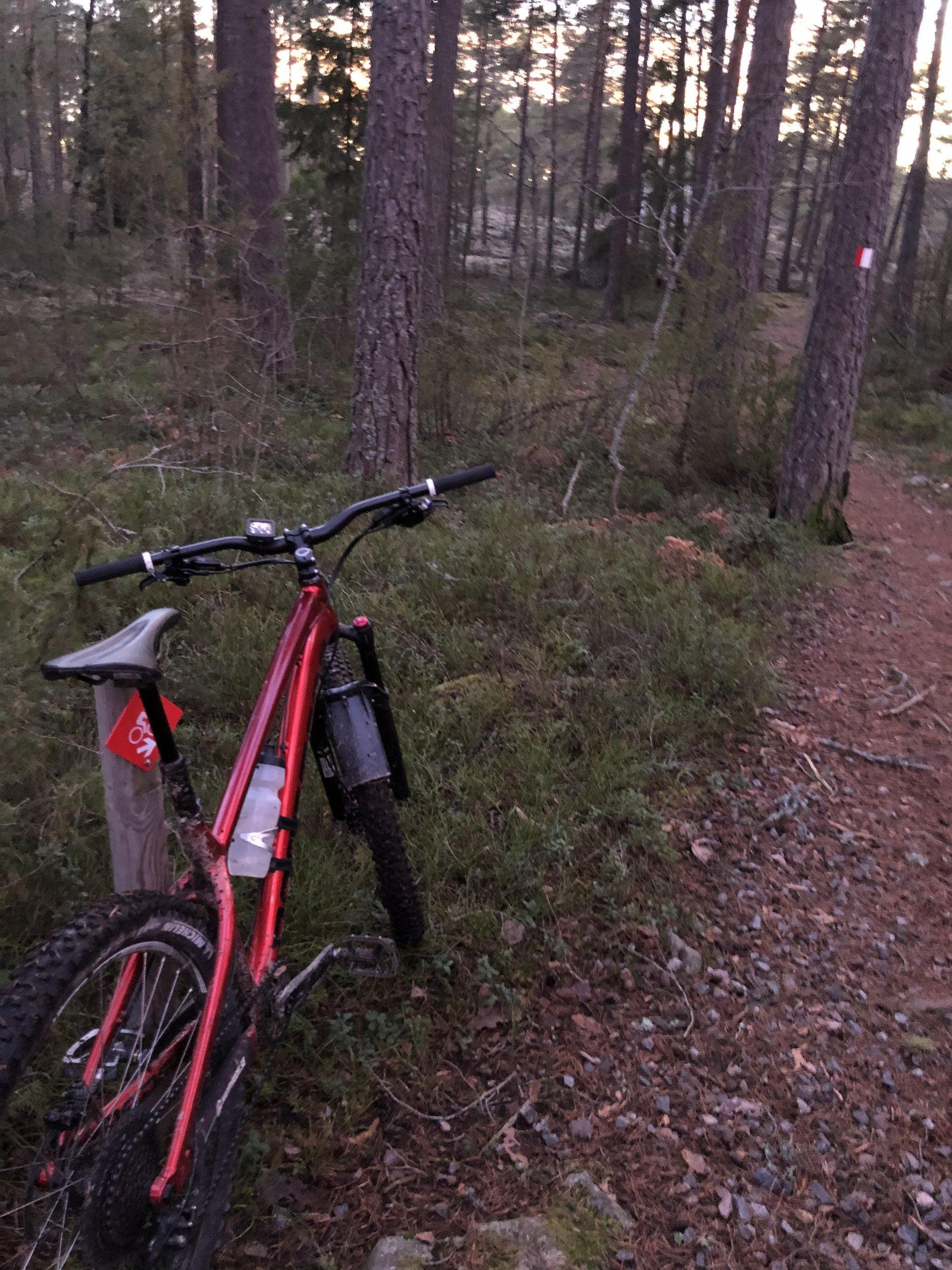 E146057A-6749-4390-8D6D-7C1779582F84.jpeg