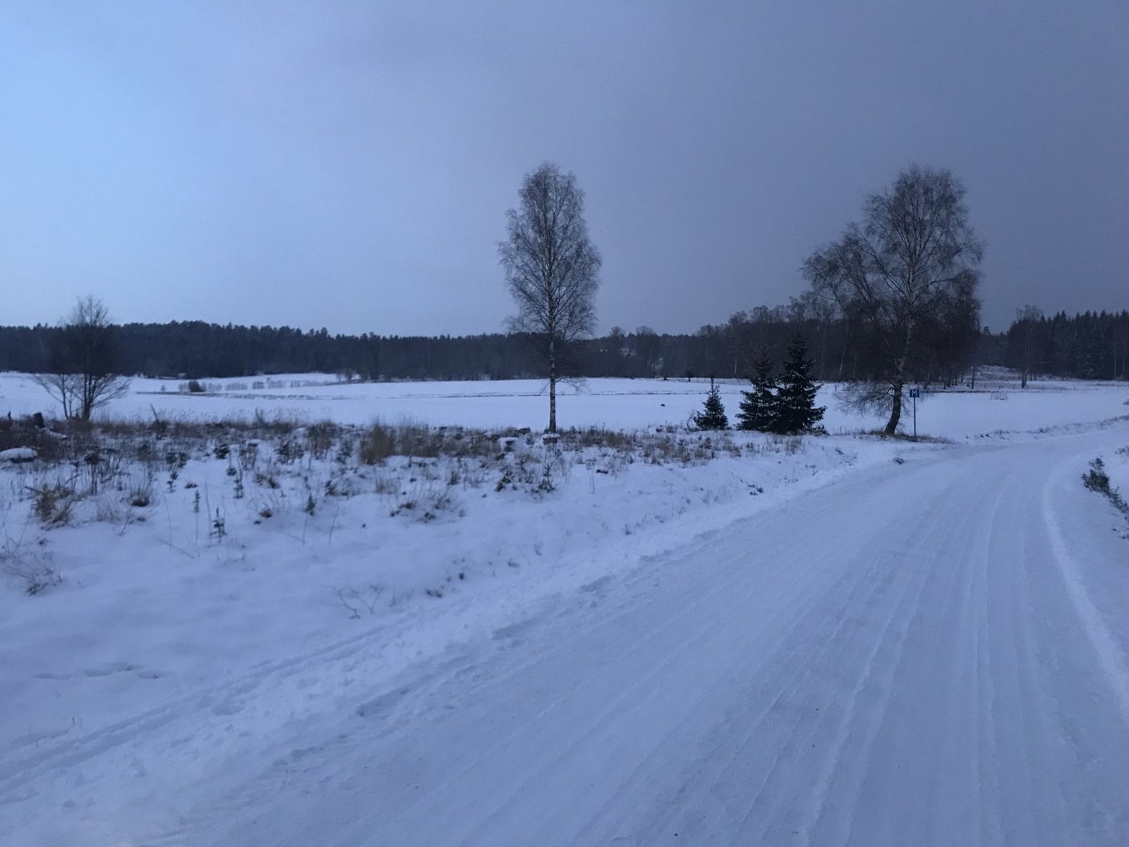 E3910953-53FA-45E1-8159-415D04C0B85A.jpeg