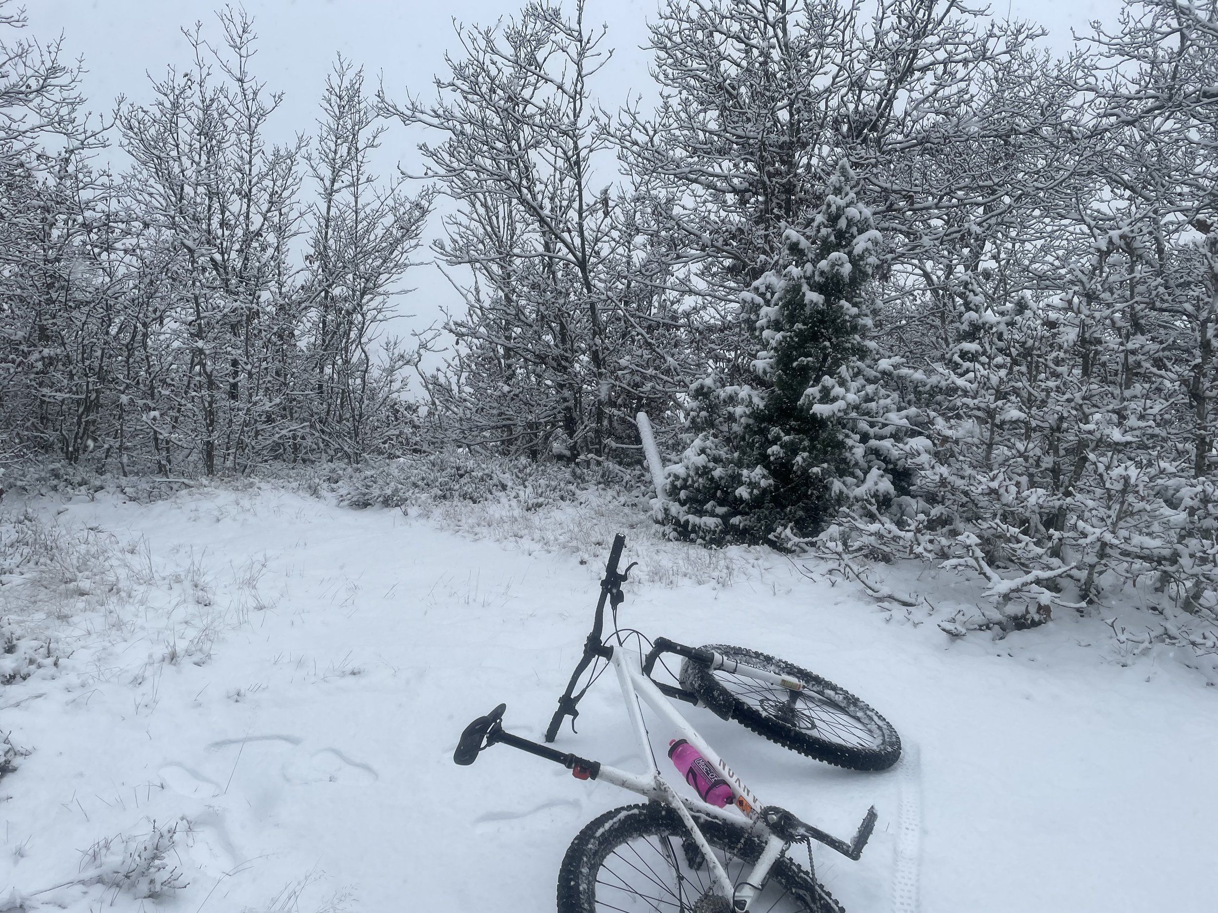 E42D8253-0AA9-43E9-9DAA-27727E2943F1.jpeg