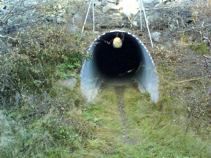 E4tunneln1.JPG ht=544