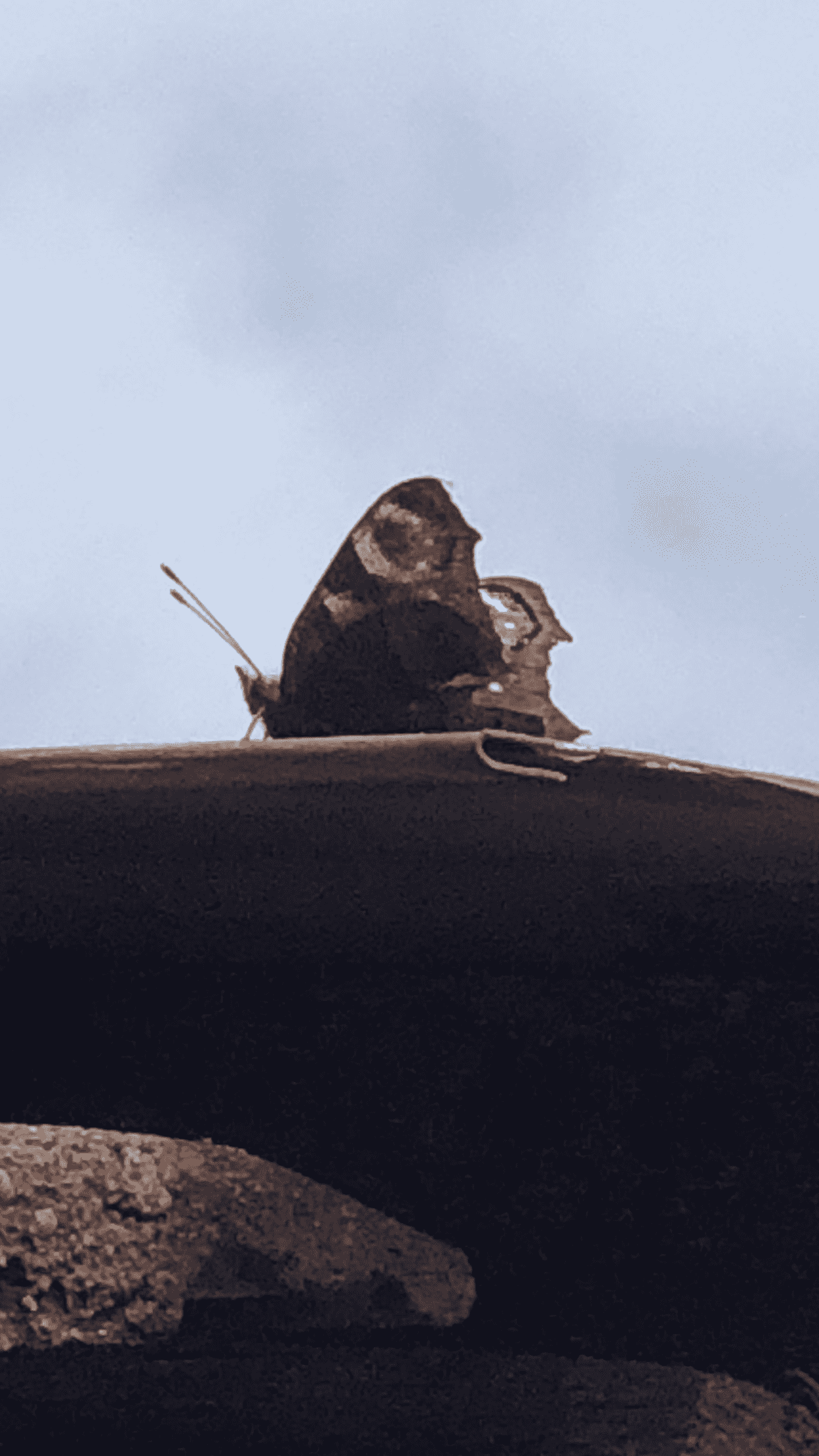 E591B29C-456A-4287-A772-23D11FEE6978.png
