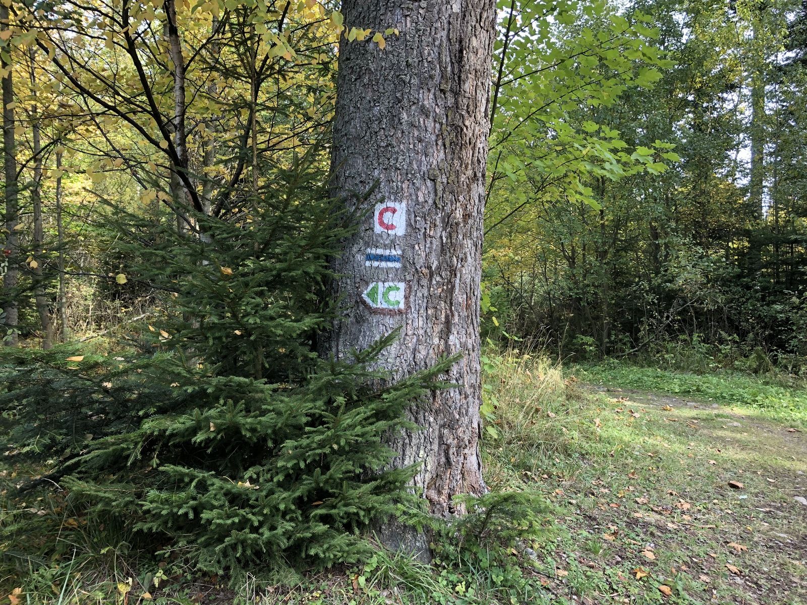 E78A85AC-F3E7-439A-B4B5-385B33479924.jpeg
