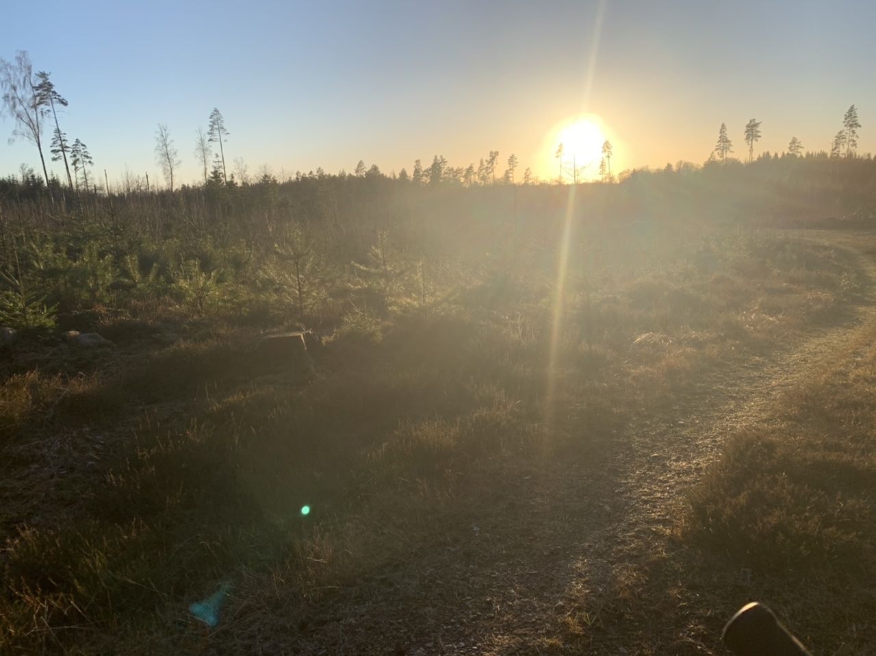 E8F04FAA-488E-4C3C-8B8F-F816897E681E.jpeg