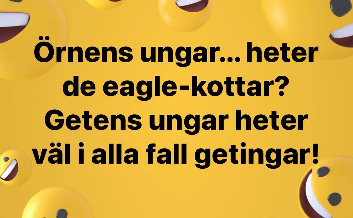 Eaglekottar.jpg