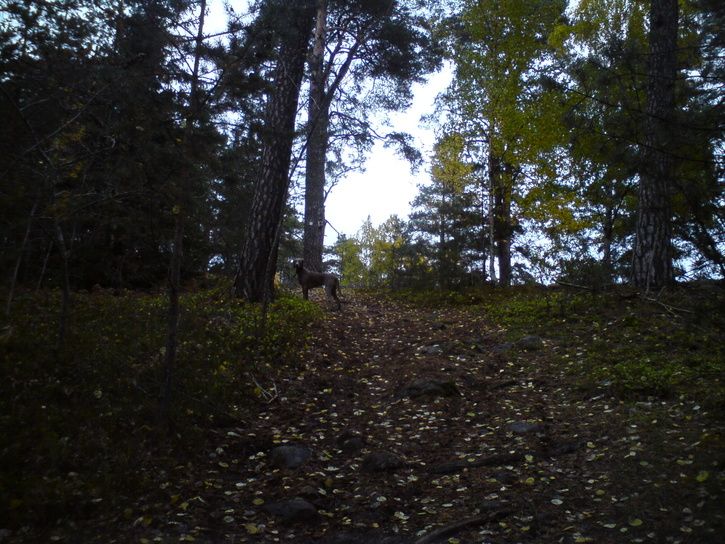 Ebbavntar.JPG ht=544