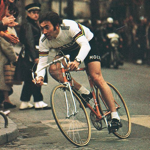 eddy-merckx.jpg