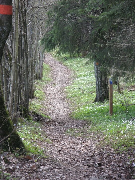 Efterasfaltsverket.JPG ht=725