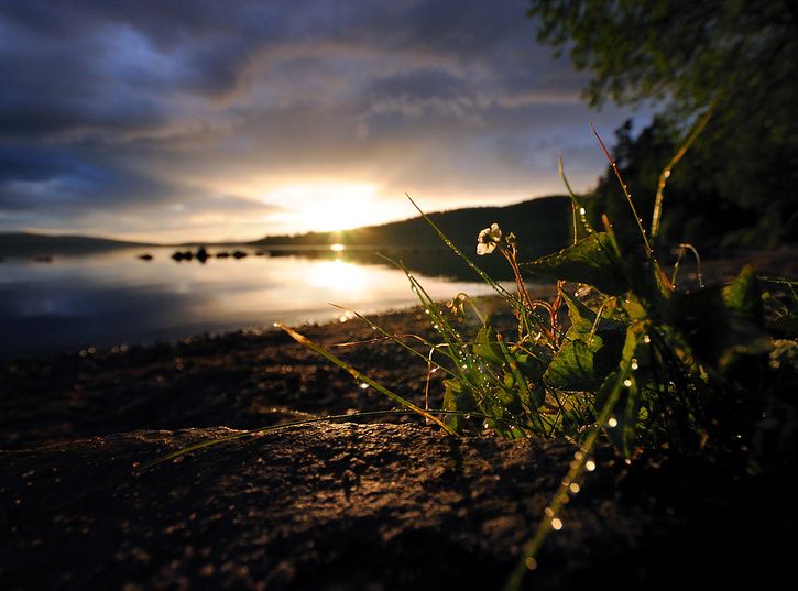 Efterregn5.jpg ht=537
