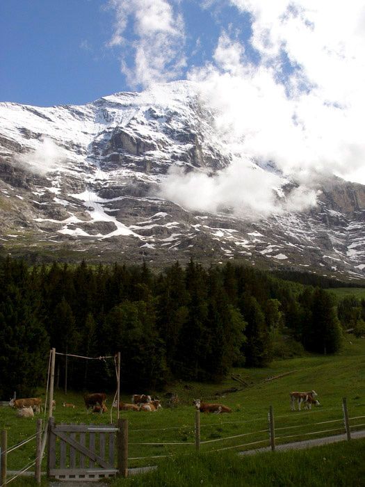 eiger.jpg ht=700