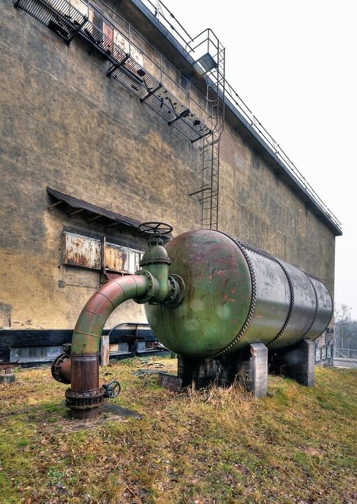 elefant.jpg ht=725