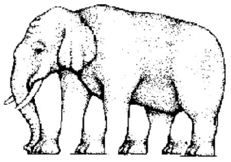 elefant_synvilla.gif ht=317