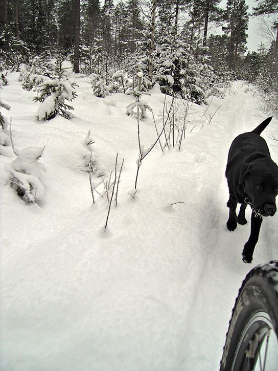 En_hiver28.jpg ht=725