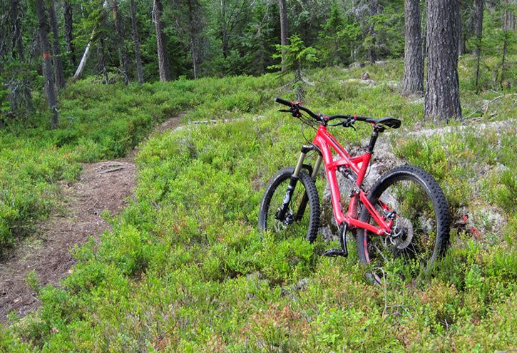 enduro.jpg