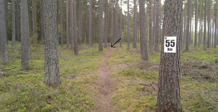 endurostigen1.jpg
