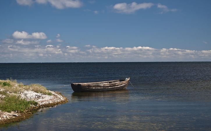 Ensameka.jpg ht=452