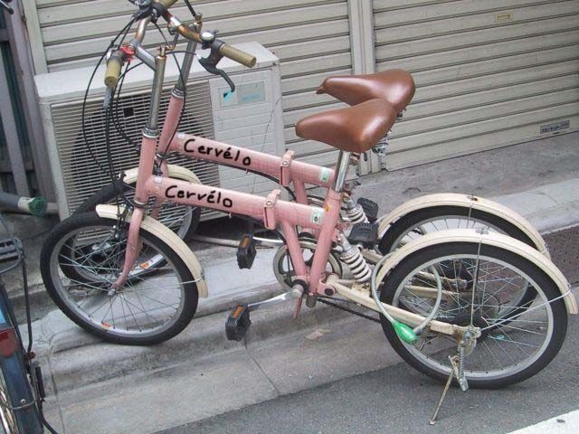 erotic_bikes_600.jpg ht=480