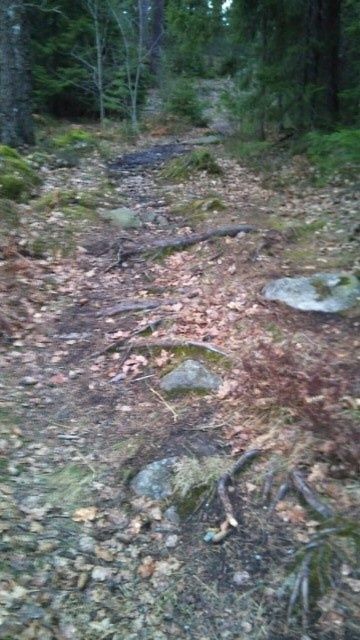 Essesstvoo.jpg ht=640