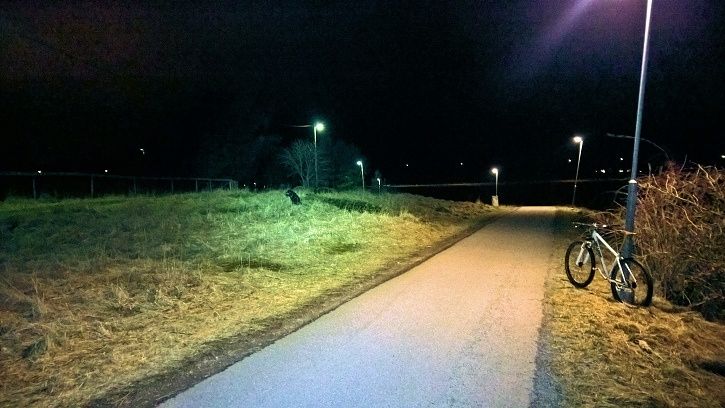 Esterpromenix_2.jpg