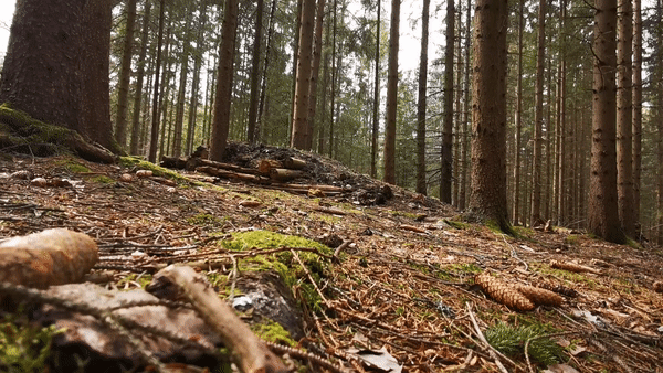 ezgif-2-09b0b3280f74.gif