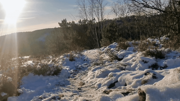 ezgif-3-6c40904ff3.gif