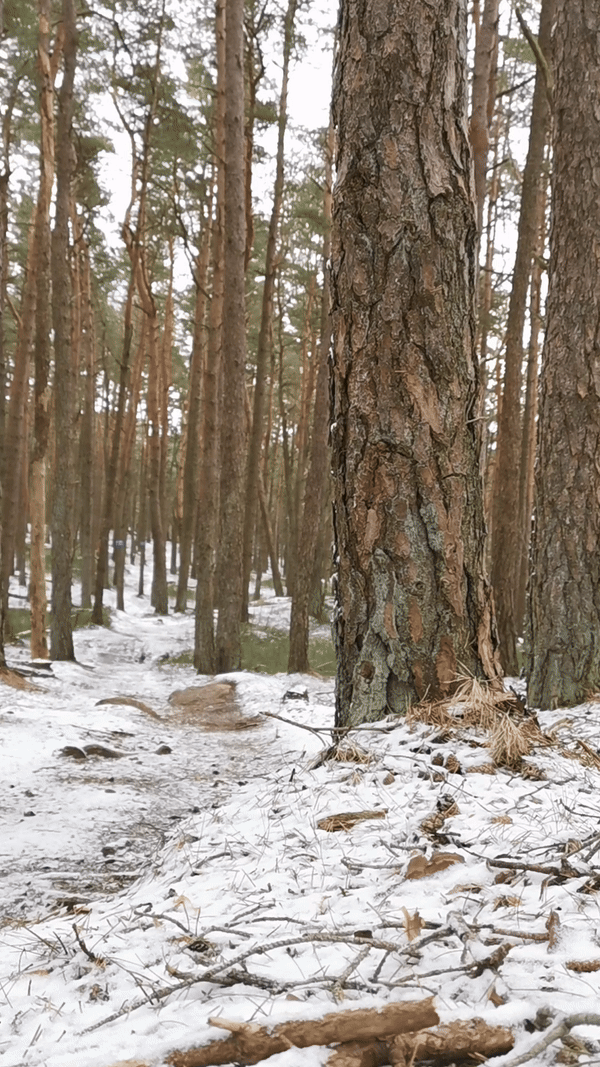 ezgif-3-fe757b55a7.gif