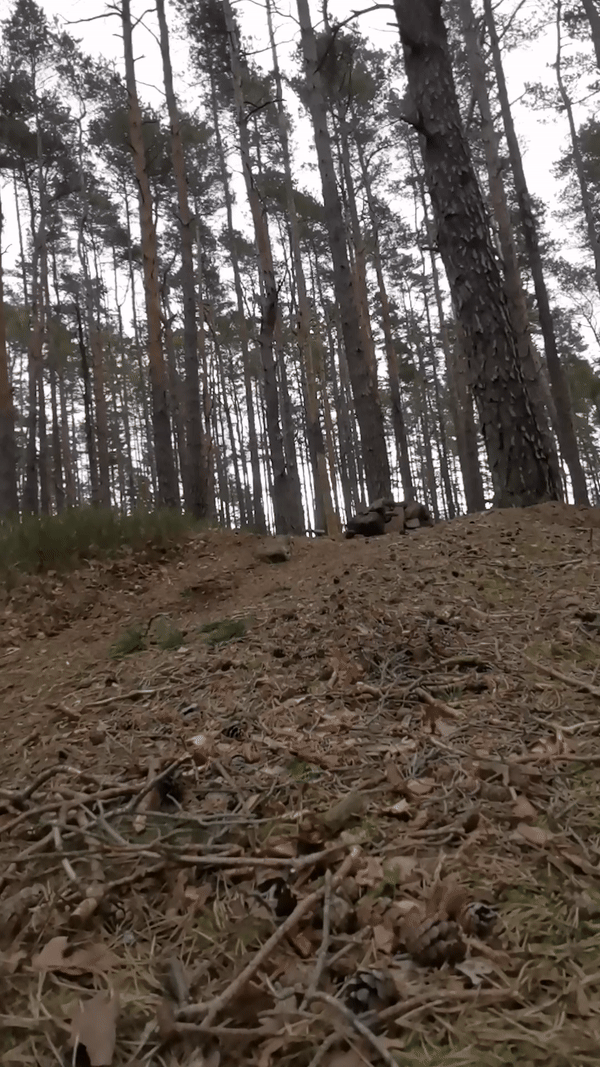 ezgif-4-d2088d7569.gif