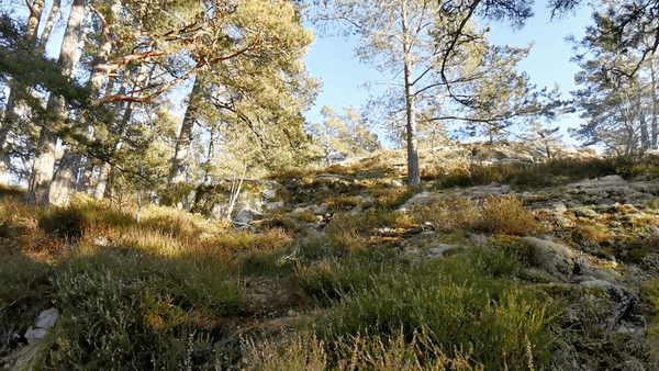 ezgif-5-23bc7d0e77.gif