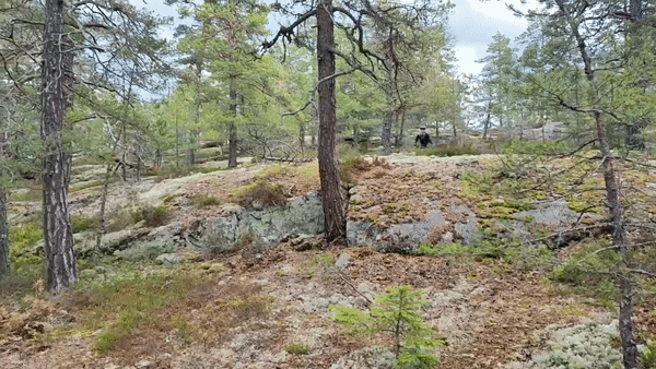 ezgif-5-367d6c9b94.gif