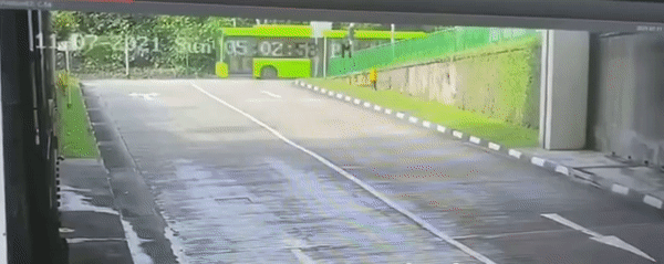 ezgif-5-5000c6d950.gif