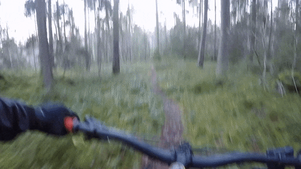 ezgif-5-7456249c6c.gif