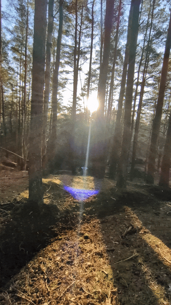 ezgif-5-87eb18271c.gif