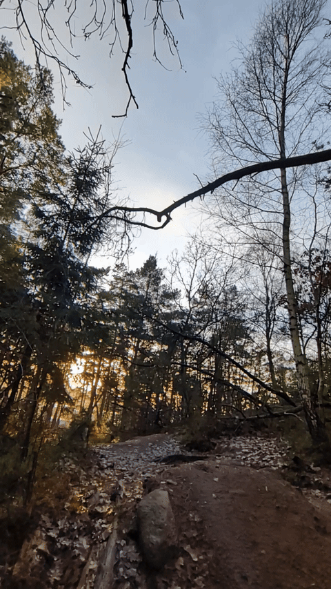 ezgif-68881095363d183e.gif