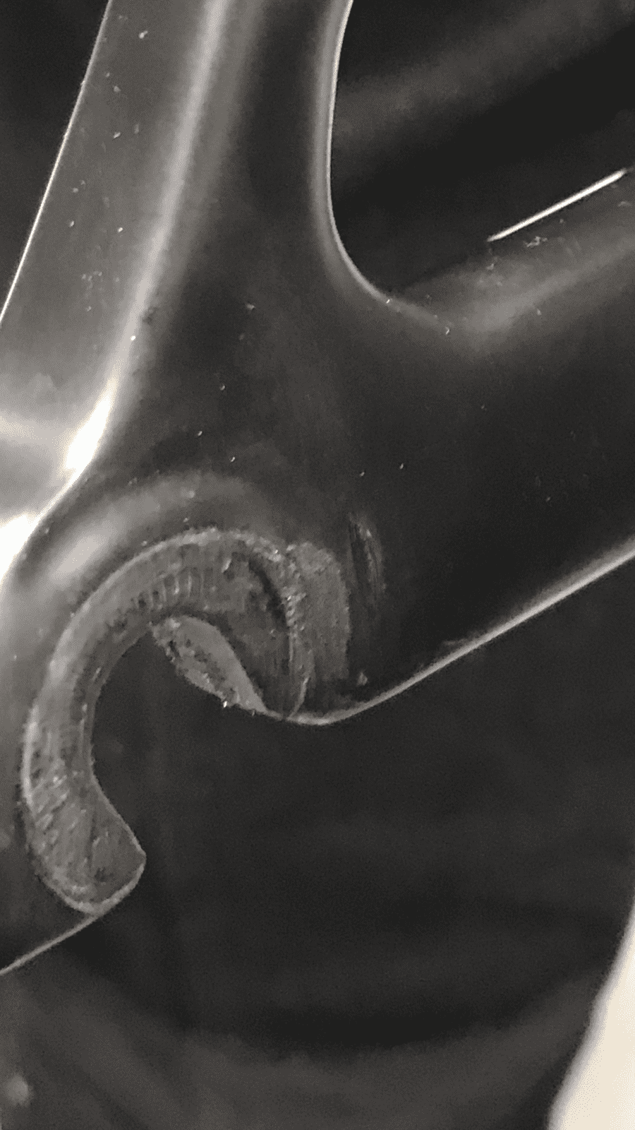 F10E77C2-0D30-4EEA-A86B-FFDBBE64910A.png