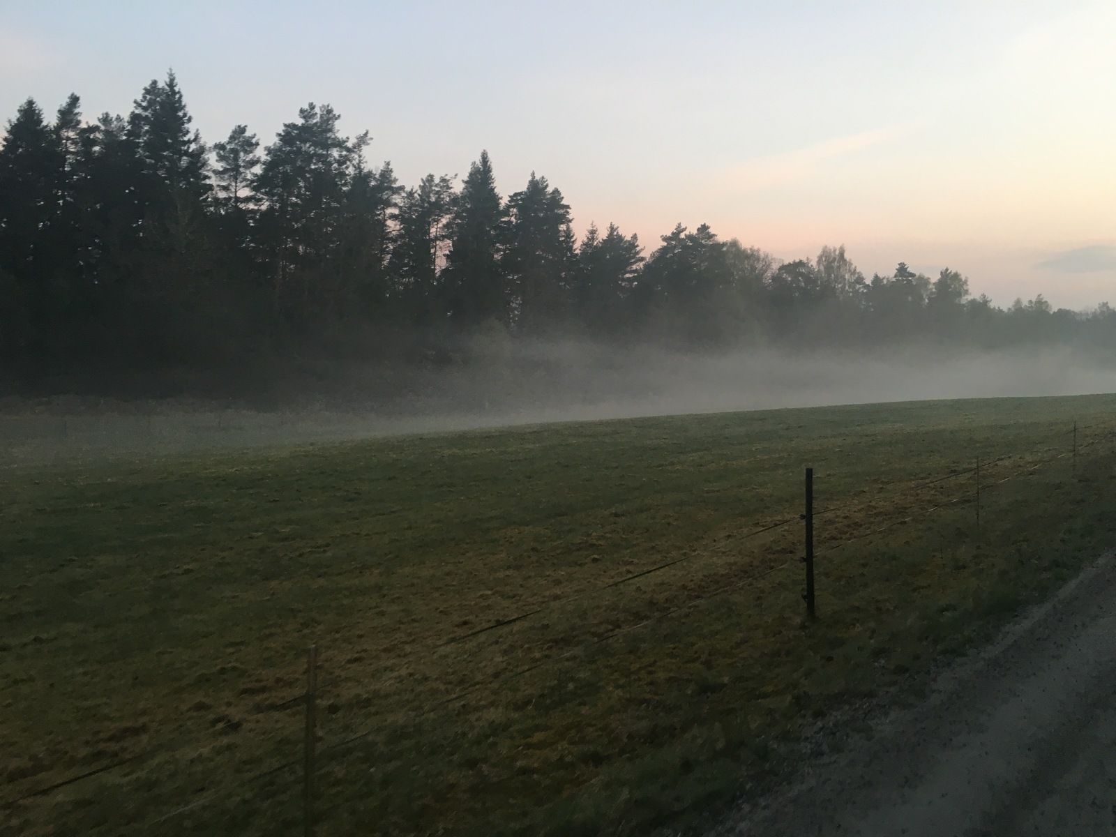 F29557F1-E3C3-445A-81DA-D24C78A181C3.jpeg