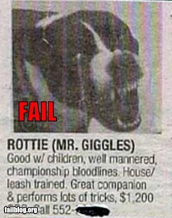 fail-owned-dog-name-fail.jpg ht=445