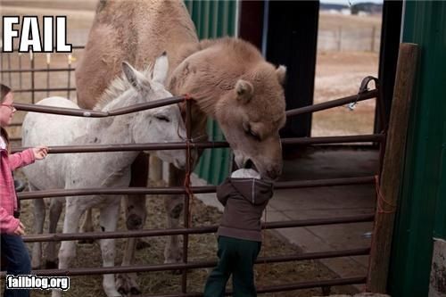 Failblog1.jpg ht=333