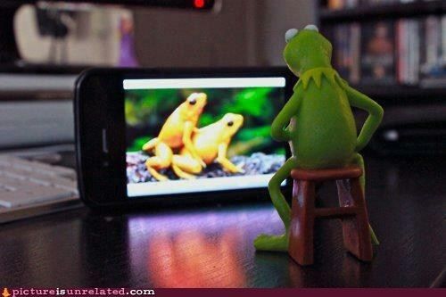 fap-fap_kermit.jpg