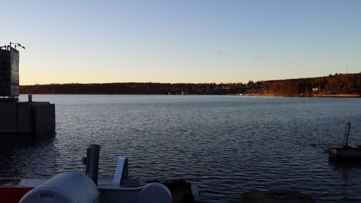 Frjelge2.jpg