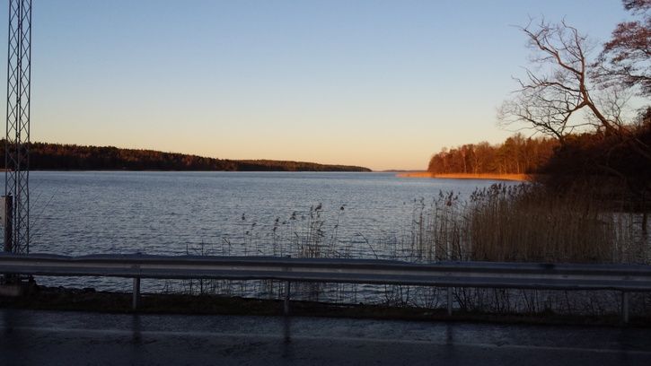 Frjelge3.jpg