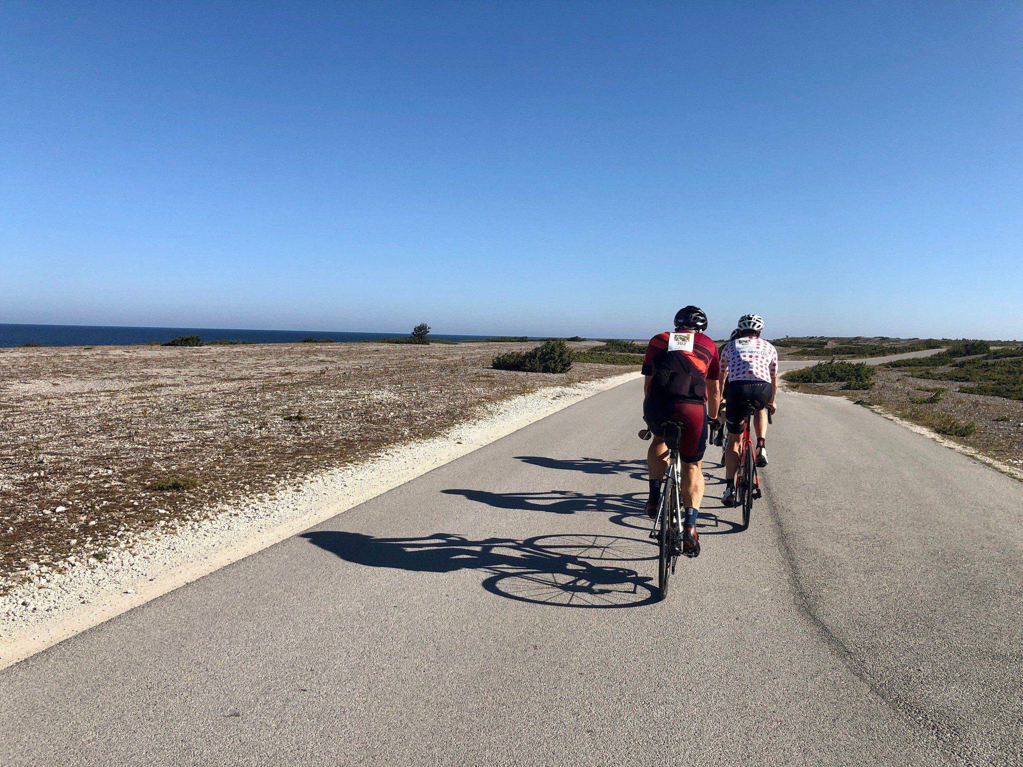 fårö.jpg