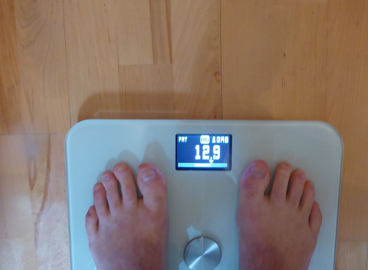 FAT.jpg